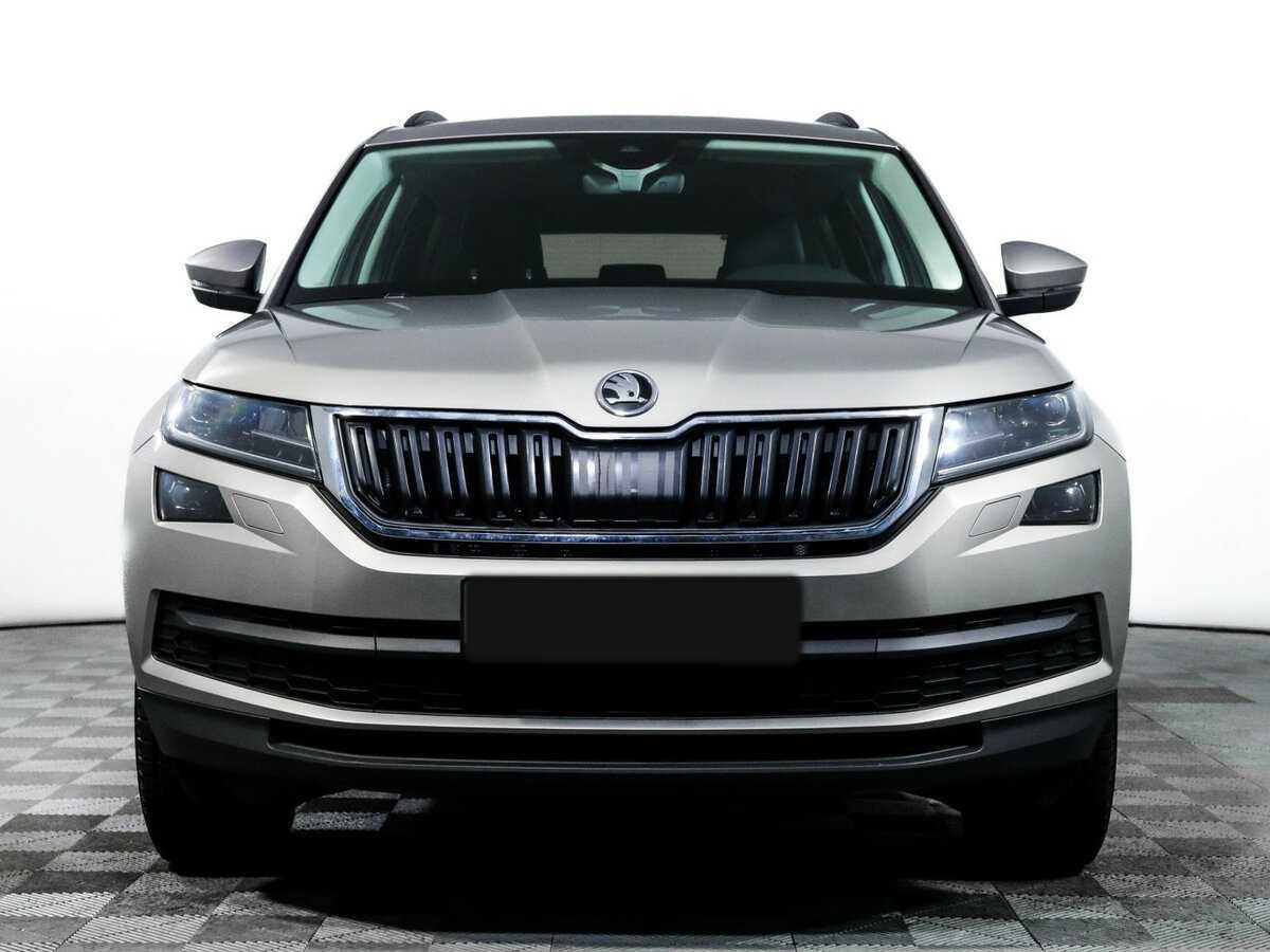 Skoda Kodiaq, 2019 - фото №2