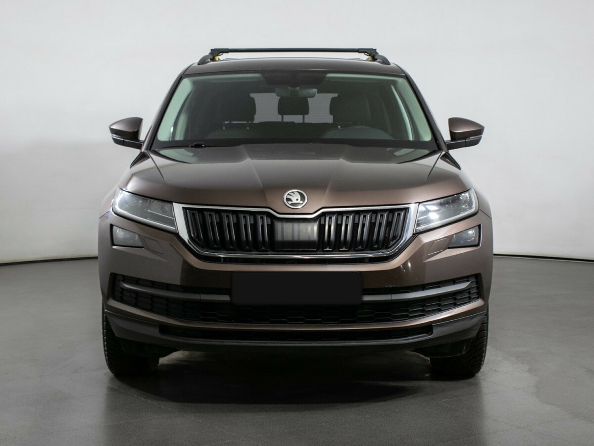 Skoda Kodiaq I, 2019 - фото №2